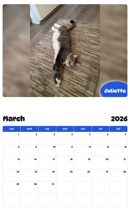 November 2025 - October 2026 Juliette - Pawidols Pet Calendar