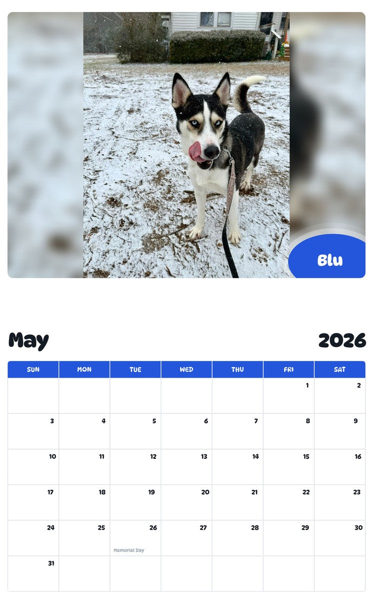 2026 - 2027 Blu - Pawidols Pet Calendar