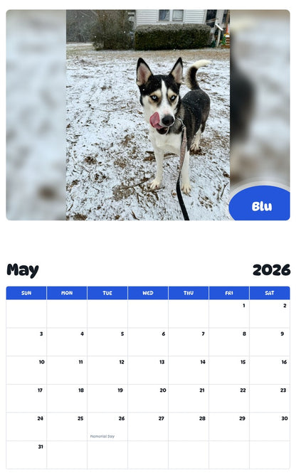 2026 - 2027 Blu - Pawidols Pet Calendar