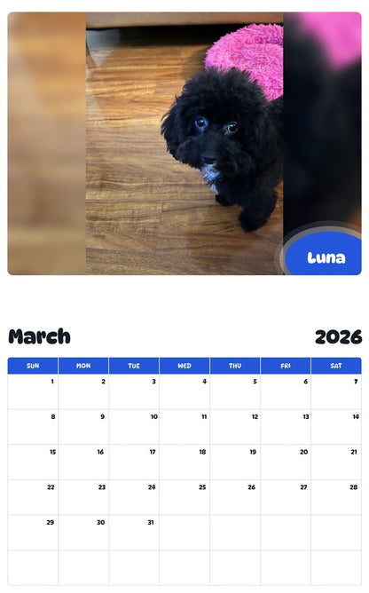 November 2025 - October 2026 Luna - Pawidols Pet Calendar