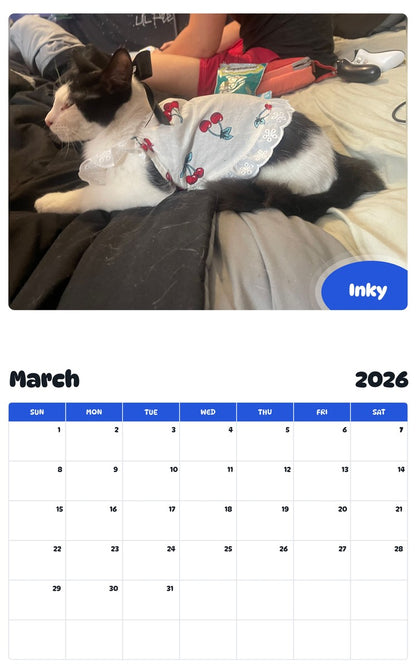 November 2025 - October 2026 Inky - Pawidols Pet Calendar