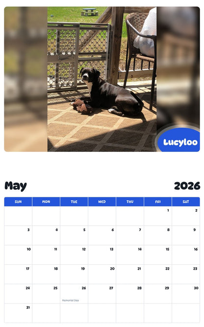 2026 - 2027 Lucyloo - Pawidols Pet Calendar