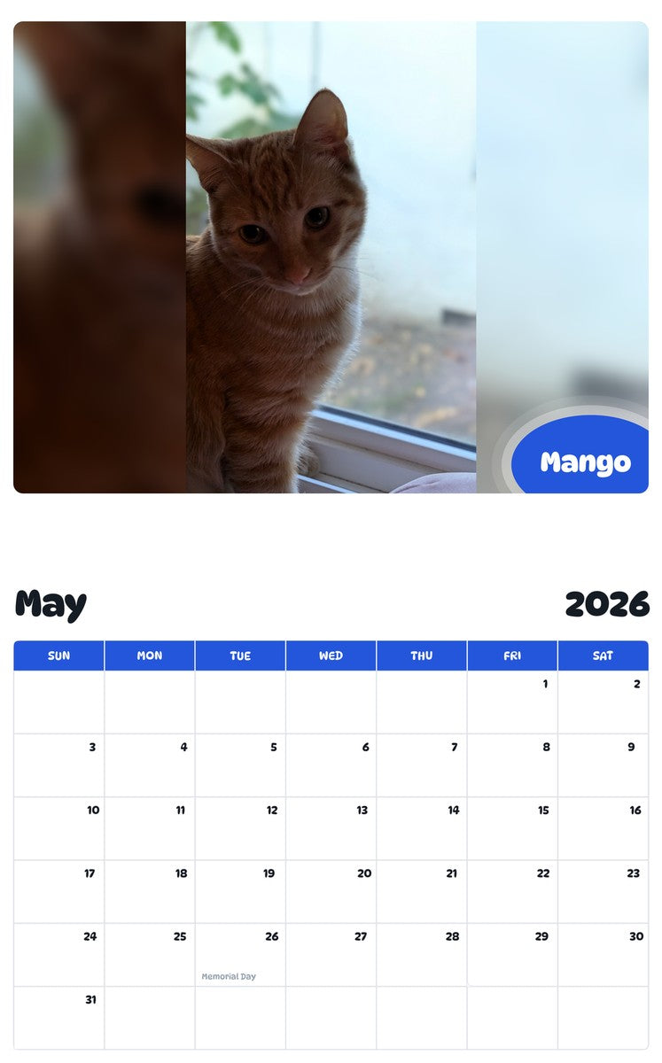 2026 - 2027 Mango - Pawidols Pet Calendar