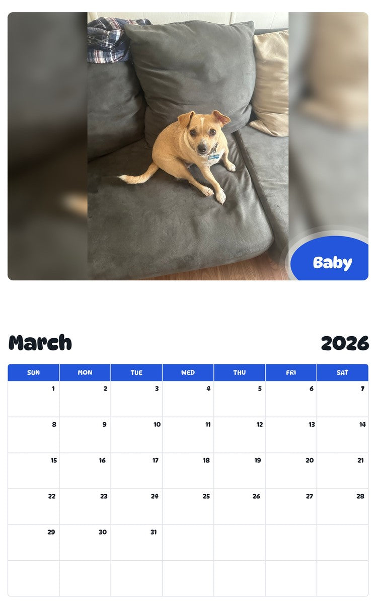 November 2025 - October 2026 Baby - Pawidols Pet Calendar