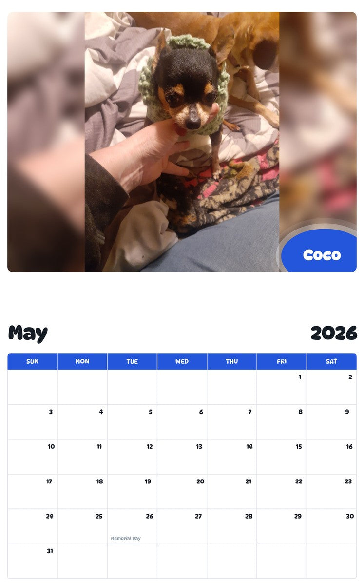 2026 - 2027 Coco - Pawidols Pet Calendar