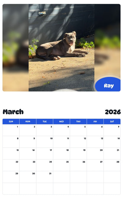 November 2025 - October 2026 Ray - Pawidols Pet Calendar
