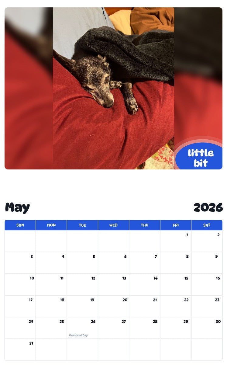 2026 - 2027 little bit - Pawidols Pet Calendar