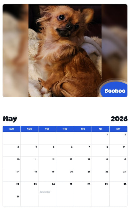 2026 - 2027 Booboo - Pawidols Pet Calendar