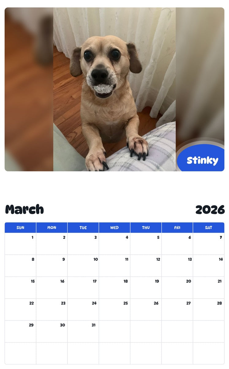 November 2025 - October 2026 Stinky - Pawidols Pet Calendar