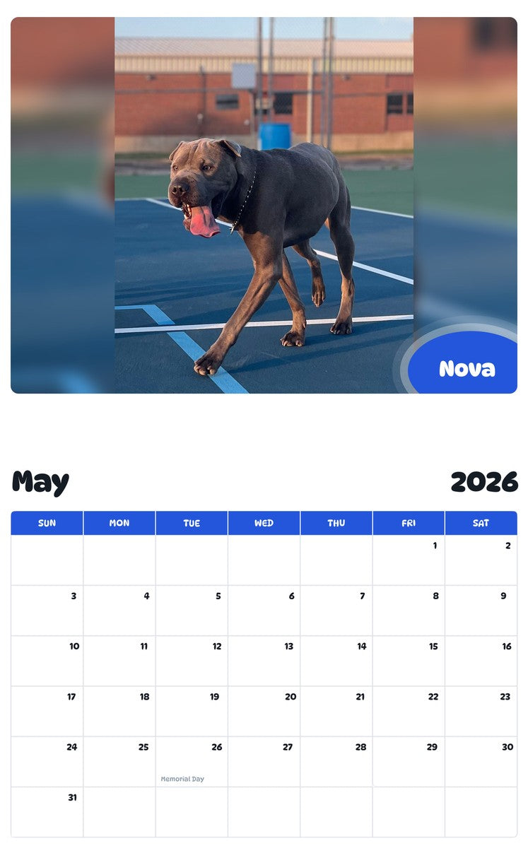 2026 - 2027 Nova - Pawidols Pet Calendar