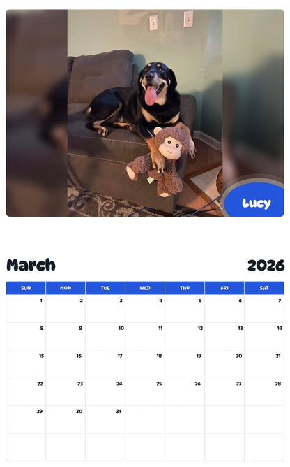 November 2025 - October 2026 Lucy - Pawidols Pet Calendar