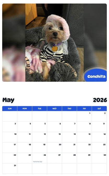 2026 - 2027 Conchita - Pawidols Pet Calendar
