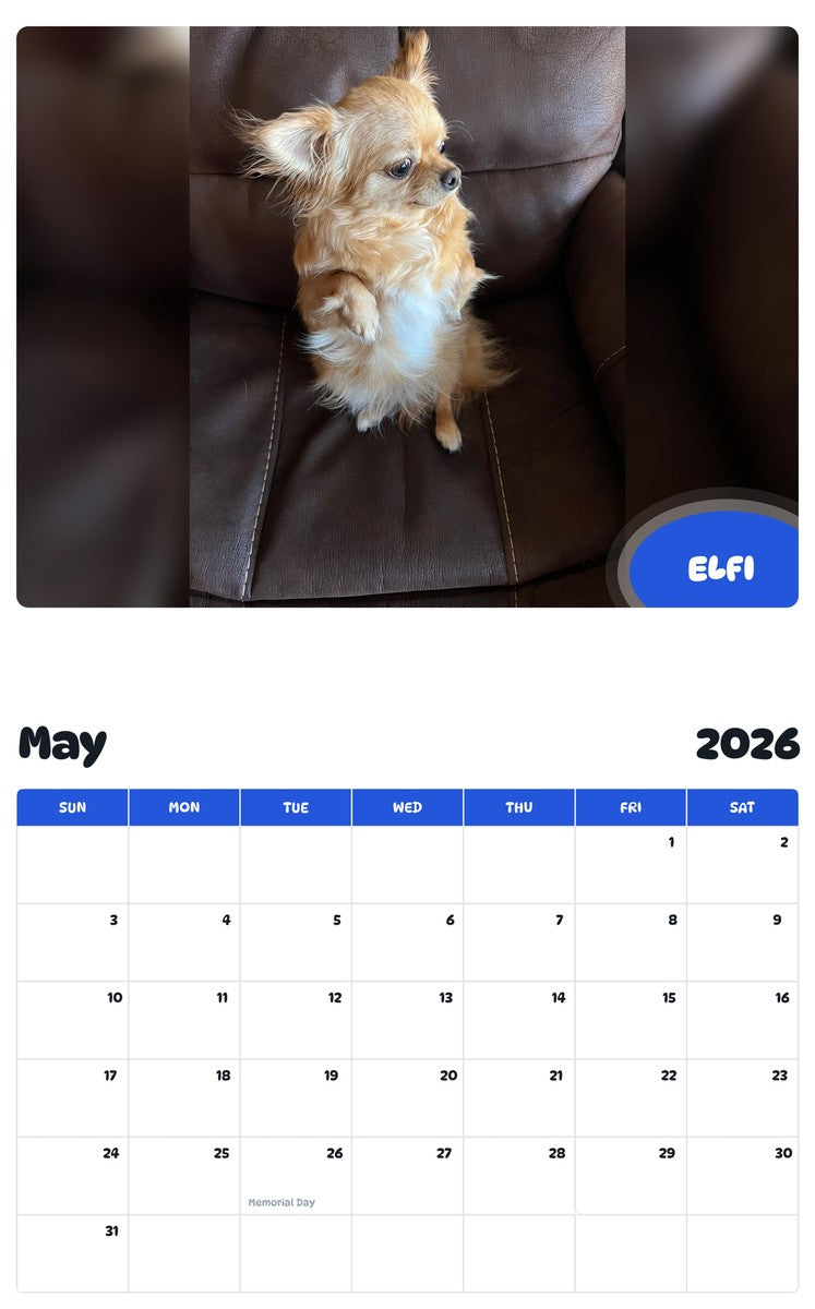 2026 - 2027 ELFI - Pawidols Pet Calendar