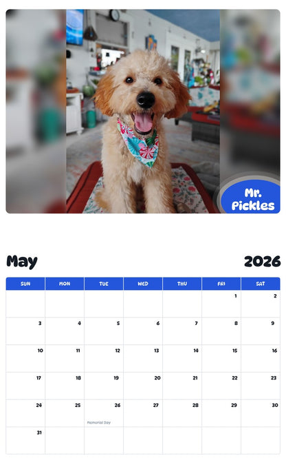 2026 - 2027 Mr. Pickles - Pawidols Pet Calendar