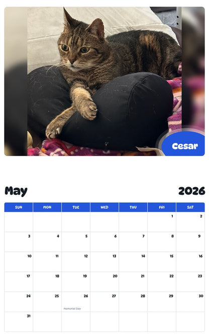 2026 - 2027 Cesar - Pawidols Pet Calendar