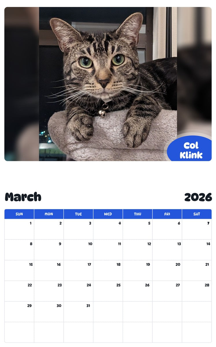November 2025 - October 2026 Col Klink - Pawidols Pet Calendar