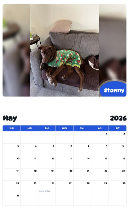 2026 - 2027 Stormy - Pawidols Pet Calendar