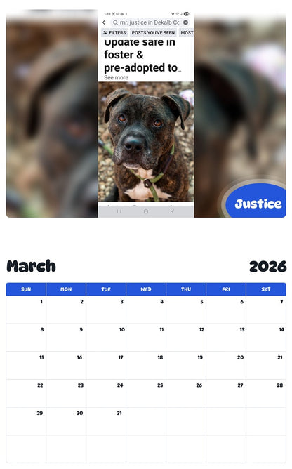 November 2025 - October 2026 Justice - Pawidols Pet Calendar