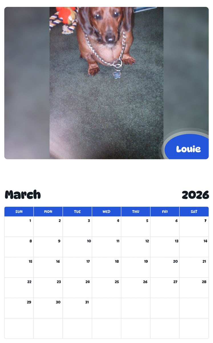 November 2025 - October 2026 Louie - Pawidols Pet Calendar