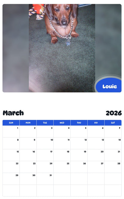 November 2025 - October 2026 Louie - Pawidols Pet Calendar