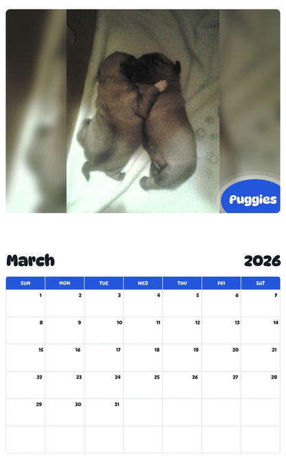 November 2025 - October 2026 Puggies - Pawidols Pet Calendar