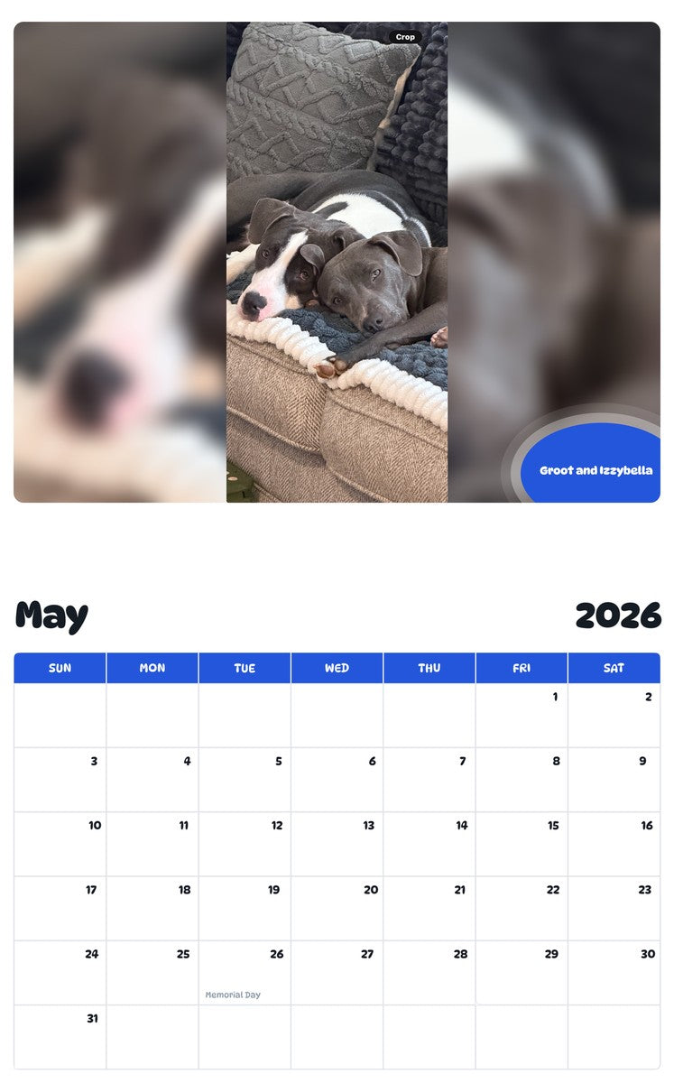 2026 - 2027 Groot and Izzybella - Pawidols Pet Calendar