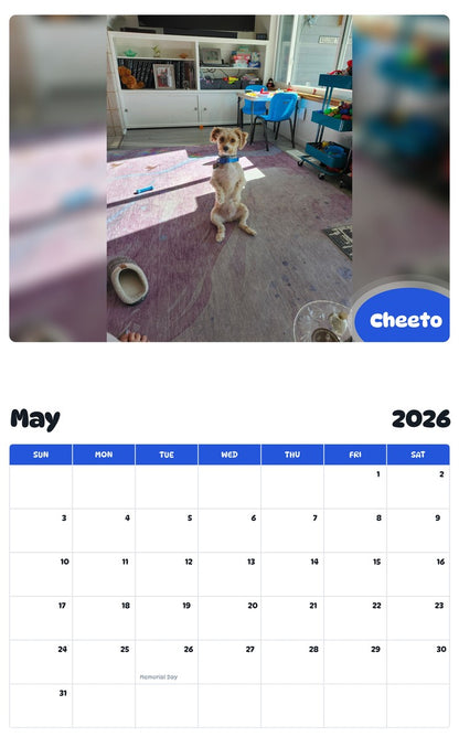 2026 - 2027 Cheeto - Pawidols Pet Calendar