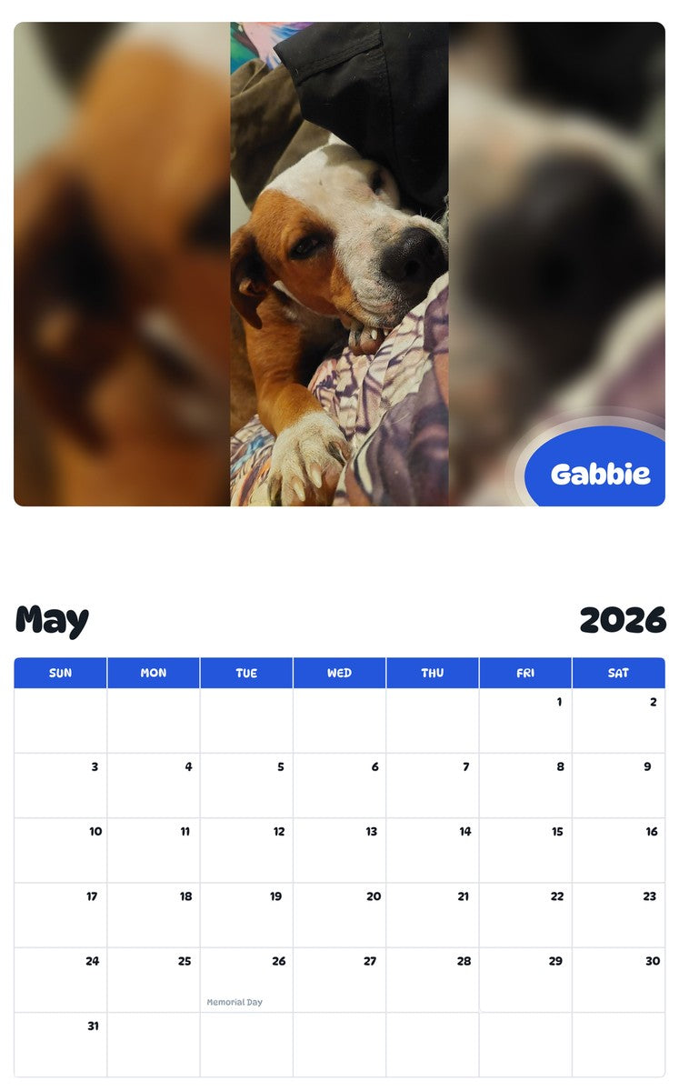 2026 - 2027 Gabbie - Pawidols Pet Calendar