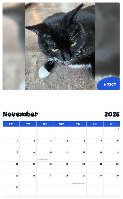 July 2025 - June 2026 Rosco - Pawidols Pet Calendar