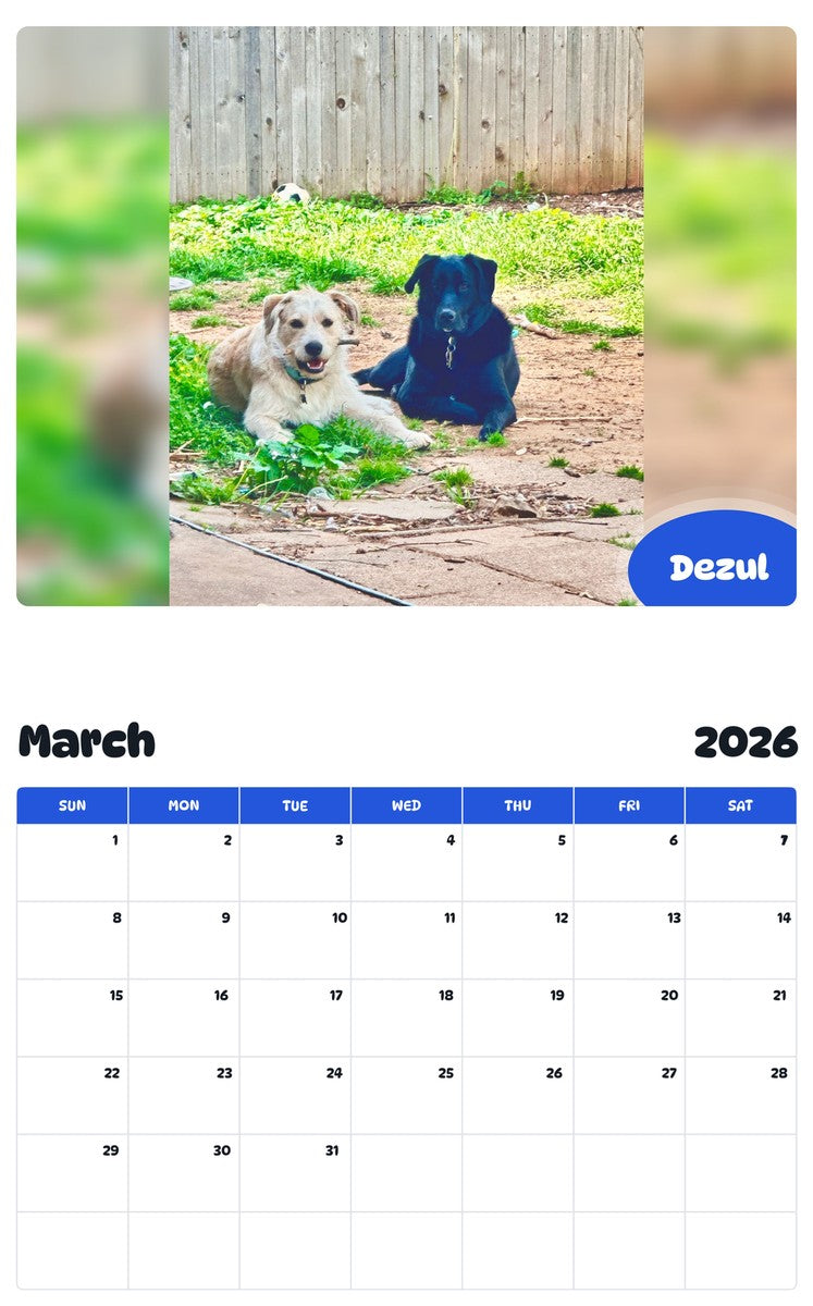 November 2025 - October 2026 Dezul - Pawidols Pet Calendar