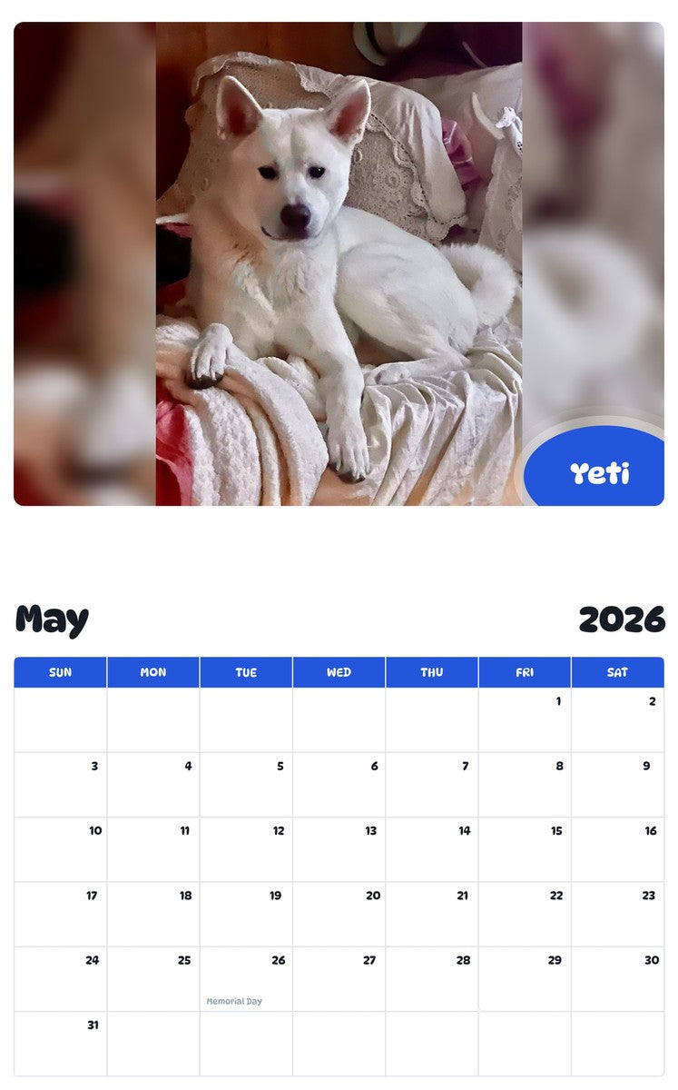 2026 - 2027 Yeti - Pawidols Pet Calendar