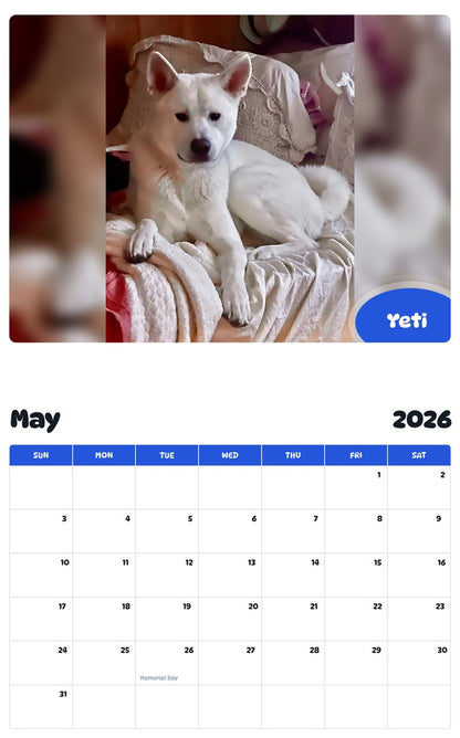 2026 - 2027 Yeti - Pawidols Pet Calendar