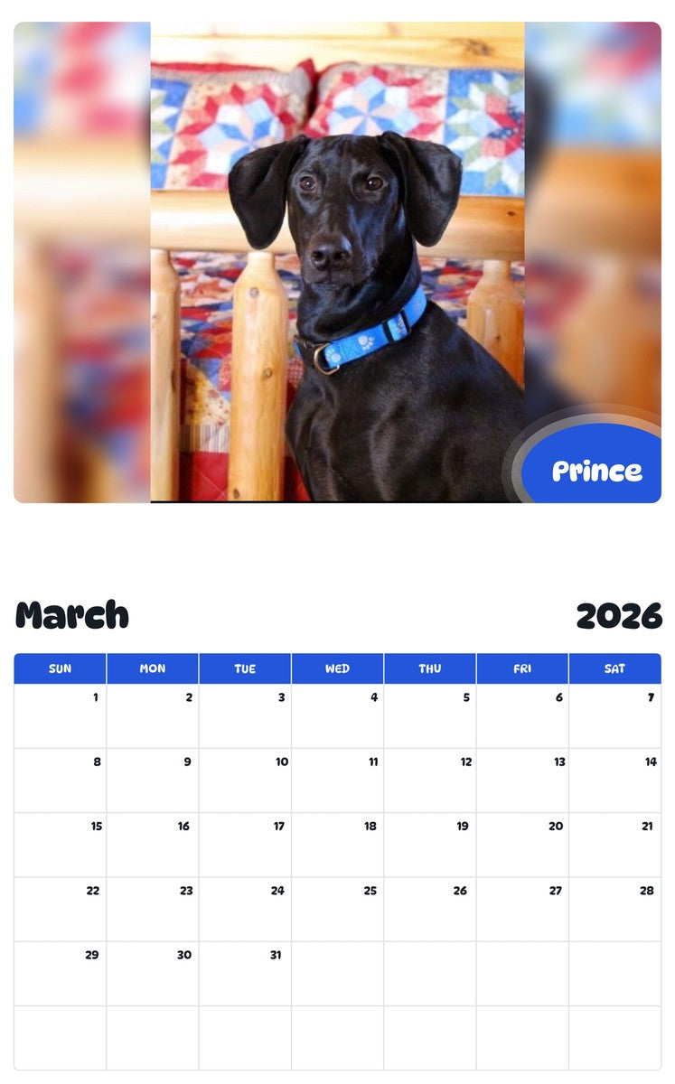 November 2025 - October 2026 Prince - Pawidols Pet Calendar