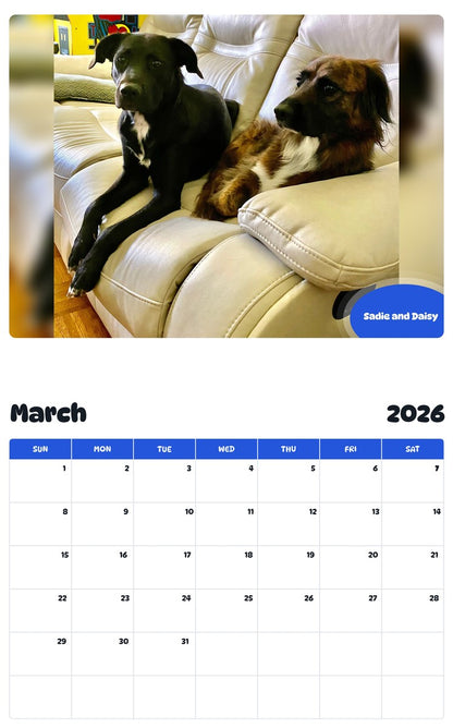 November 2025 - October 2026 Sadie and Daisy - Pawidols Pet Calendar