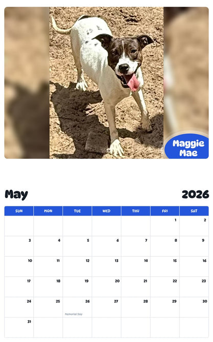 2026 - 2027 Maggie Mae - Pawidols Pet Calendar