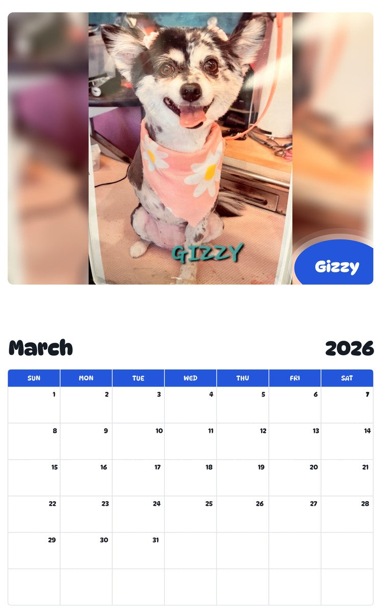 November 2025 - October 2026 Gizzy - Pawidols Pet Calendar