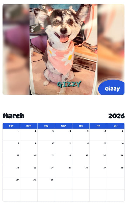 November 2025 - October 2026 Gizzy - Pawidols Pet Calendar