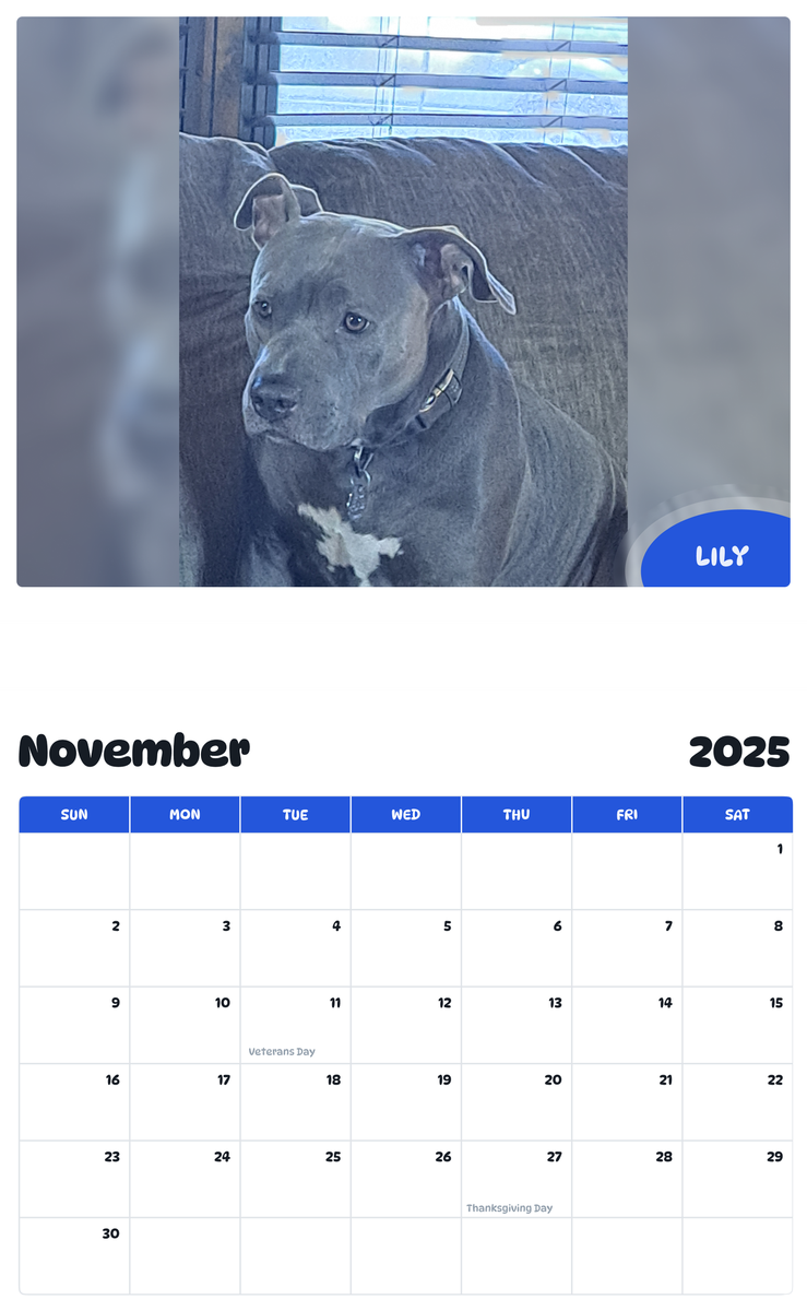 July 2025 - June 2026 Lily - Pawidols Pet Calendar