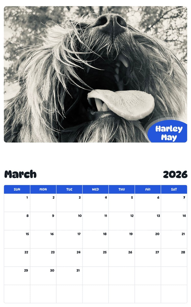 November 2025 - October 2026 Harley May - Pawidols Pet Calendar