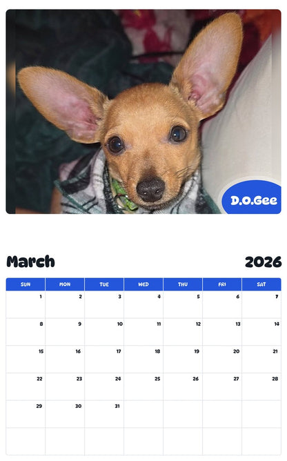 November 2025 - October 2026 D.O.Gee - Pawidols Pet Calendar