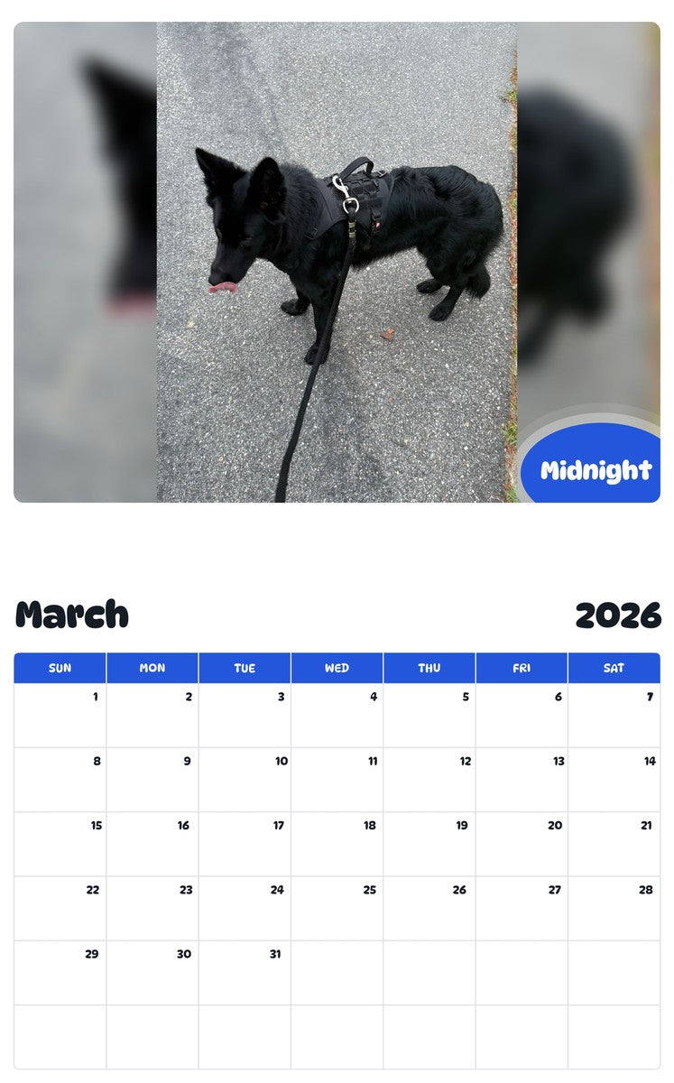 November 2025 - October 2026 Midnight - Pawidols Pet Calendar