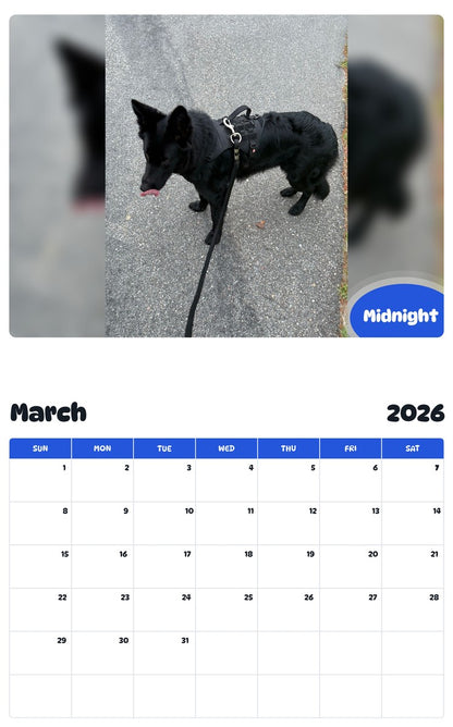 November 2025 - October 2026 Midnight - Pawidols Pet Calendar