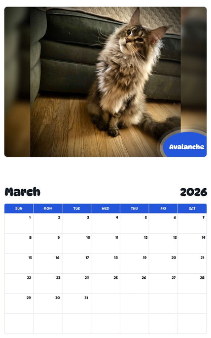 November 2025 - October 2026 Avalanche - Pawidols Pet Calendar