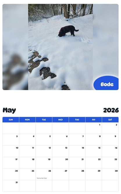 2026 - 2027 Bode - Pawidols Pet Calendar