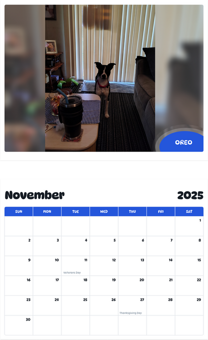 July 2025 - June 2026 Oreo - Pawidols Pet Calendar