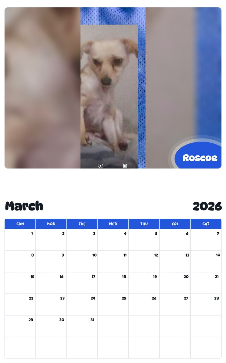 November 2025 - October 2026 Roscoe - Pawidols Pet Calendar