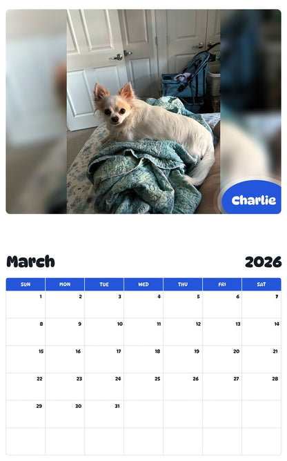 November 2025 - October 2026 Charlie - Pawidols Pet Calendar