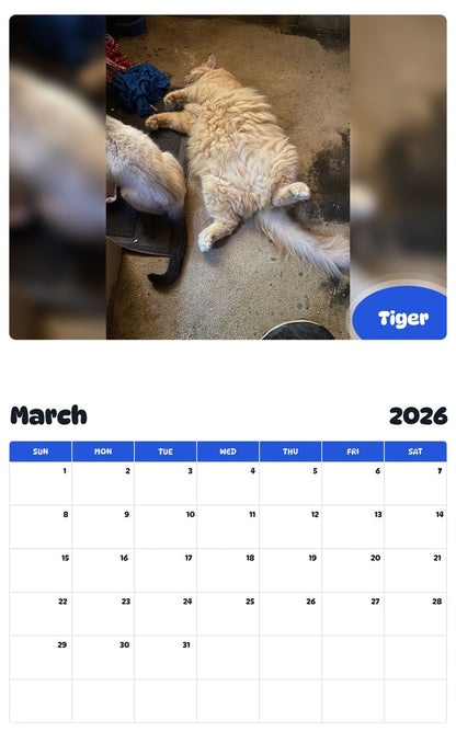 November 2025 - October 2026 Tiger - Pawidols Pet Calendar