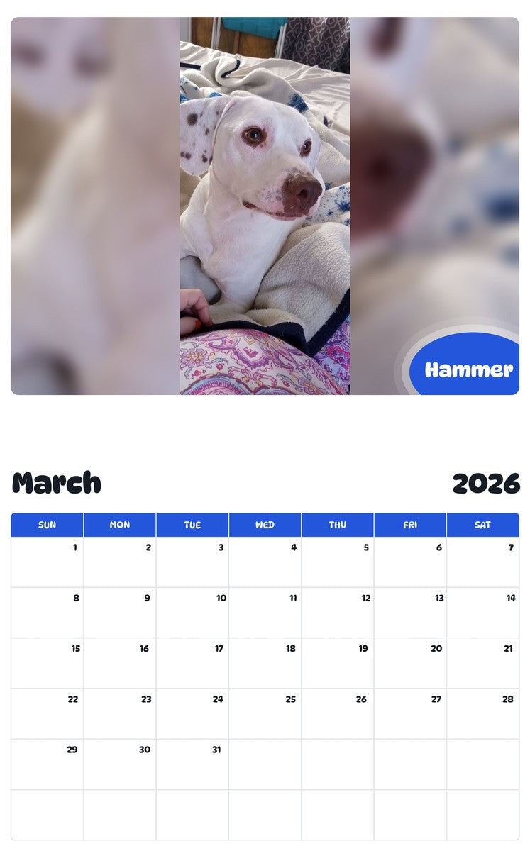 November 2025 - October 2026 Hammer - Pawidols Pet Calendar