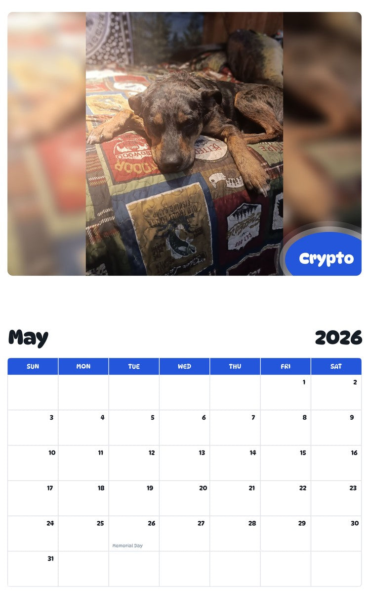 2026 - 2027 Crypto - Pawidols Pet Calendar